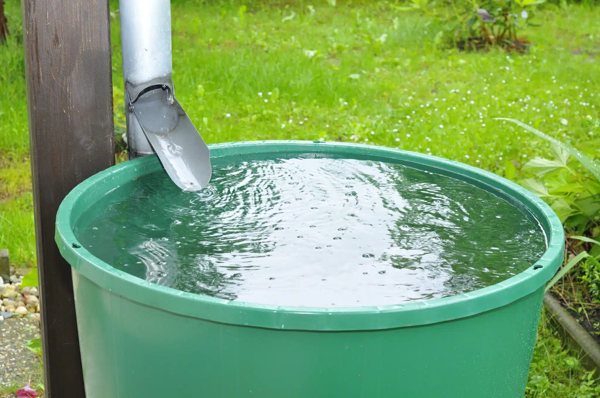 L'importance de l'eau de pluie comment la récupérer et la stocker efficacement